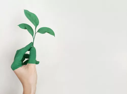 Main verte écologique