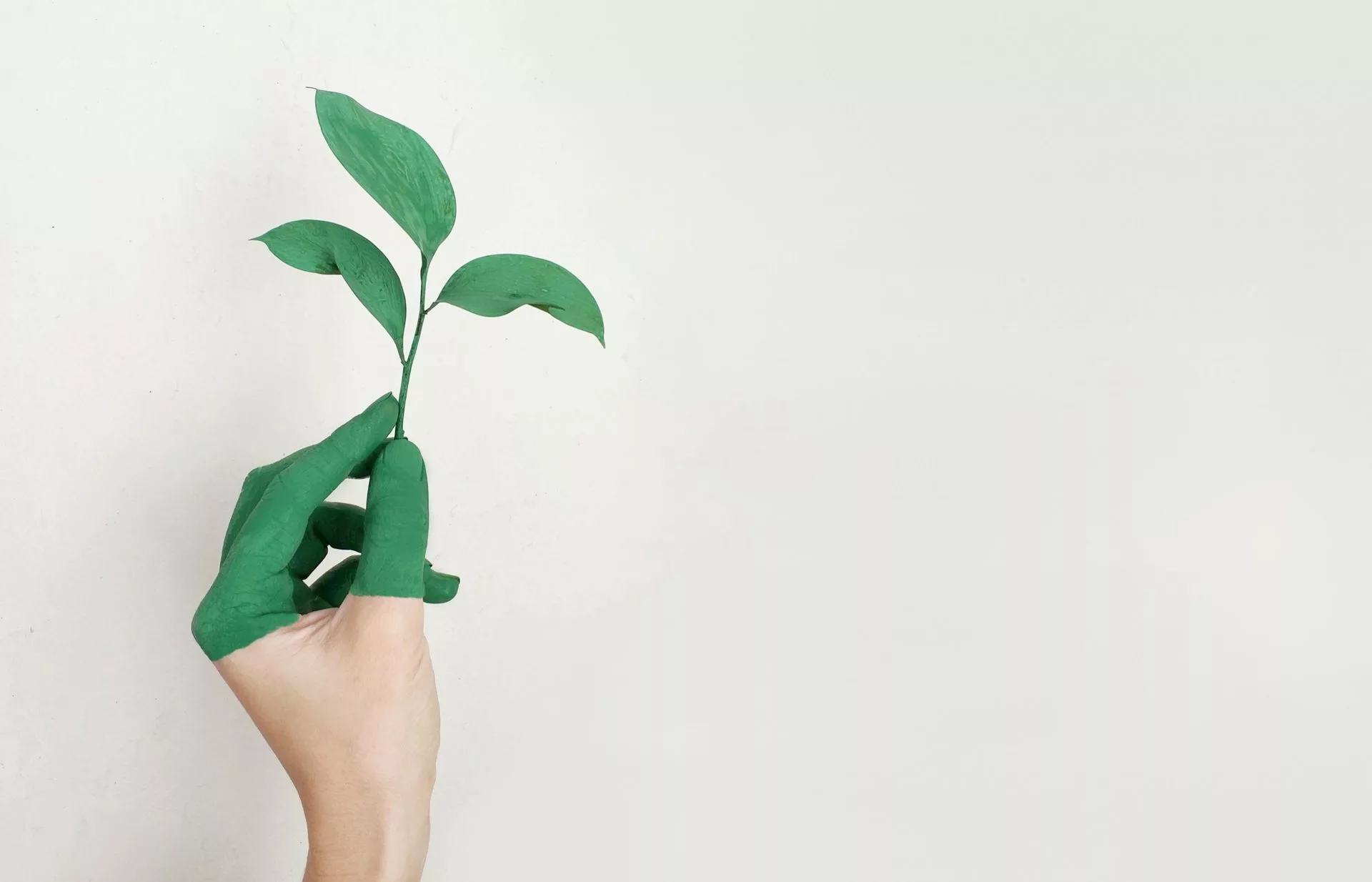 Main verte écologique